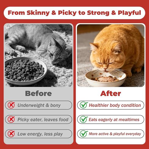 High Calorie Nutrition Paste for Cats – 12g x 30 Bars- Provides Weight gain and Appetite Support for picky or underweight Cats - Contains Taurine, DHA Colostrum - Promotes Vitality and Healthy Growth in Kuwait