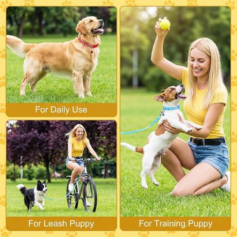 48 Pcs Dog Collar and Leash Set, Polypropylene Adjustable Puppy Collars Paws Pattern for Puppy Small Dogs Walking Training with Hook and Buckle, Multicolor in Kuwait