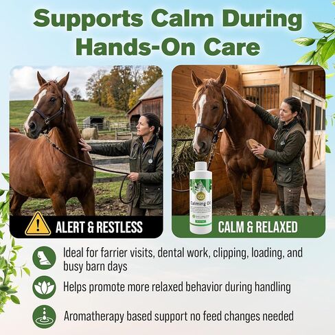 Silver Lining Herbs Calming Oil for Horses - Pure Essential Oil Horse Calming Supplements, Helps Relax Anxious, Restless & High-Strung Horses with Oregano, Eucalyptus & Coconut Essential Oils - 8oz in Kuwait