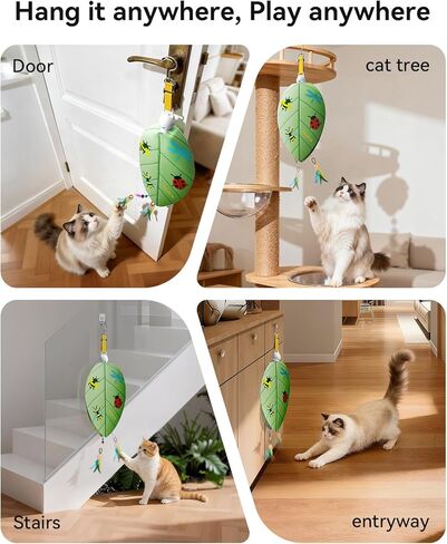 ROJECO Interactive Cat Toys for Indoor Cats, Automatic Door Hanging Cat Toy with Retractable Feather & Mouse, 2 Sleep Modes USB-C Rechargeable, Engaging Cat Toys for Bored Kittens & Adult Cats in Kuwait