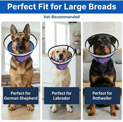 Dog Cone Collar for Medium Large Dogs - Soft Padded Transparent Recovery Collar - Breathable Anti-Lick for Surgery & Spay - Fits German Shepherd, Lab, Golden Retriever (XL - Neck Girth:18" - 23.5") in Kuwait