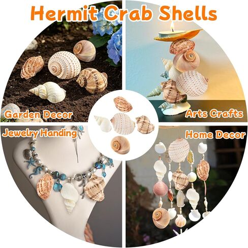 5PCS Hermit Crab Shells Large Medium Size | Natural Sea Conch Size 2.8" - 4.5", Opening Size 1.6" - 3.6" | Turbo Seashells for Hermit Crab Supplies Beach Home Crafts Decor in Kuwait