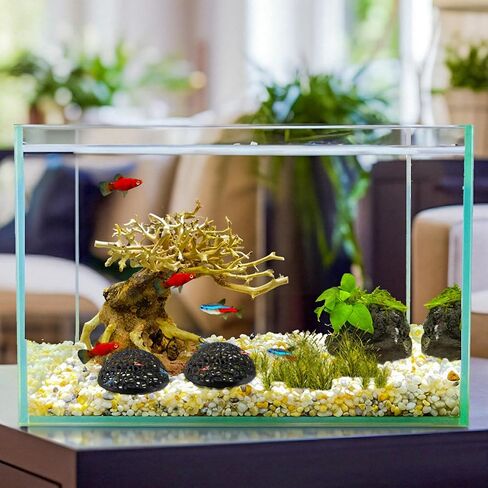 2 Pack Aquarium Shrimp Hide Cave, Porous Shrimp Hideout Shelter for Breeding & Molting, Detachable Tunnel Ornament for Fish Tank, Shrimp & Small Fish (Black) in Kuwait