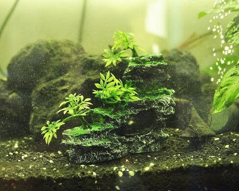 IBWell Aquarium Ornament, Mountain View Stone with Moss Tree Rock Cave Landscape Artificial Fish Tank Decoration in Kuwait