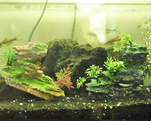 IBWell Aquarium Ornament, Mountain View Stone with Moss Tree Rock Cave Landscape Artificial Fish Tank Decoration in Kuwait