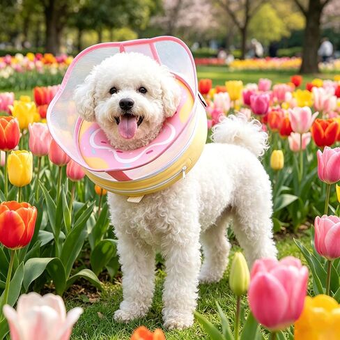 Dog Donut Collar, Inflatable Dog Cone Collar for Dogs to Stop Licking (Light Pink, M) in Kuwait
