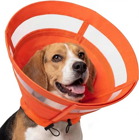 ASENKU Dog Cone Collar, Protective Recovery Dog Collar After Surgery, Comfy Adjustable Cone for Dogs to Stop Licking, Pet E-Collar for Small, Medium & Large Dogs(Orange, M) in Kuwait