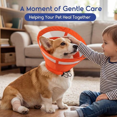 ASENKU Dog Cone Collar, Protective Recovery Dog Collar After Surgery, Comfy Adjustable Cone for Dogs to Stop Licking, Pet E-Collar for Small, Medium & Large Dogs(Orange, M) in Kuwait