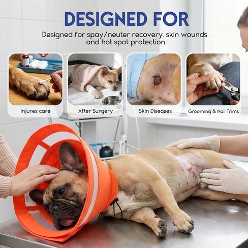 ASENKU Dog Cone Collar, Protective Recovery Dog Collar After Surgery, Comfy Adjustable Cone for Dogs to Stop Licking, Pet E-Collar for Small, Medium & Large Dogs(Orange, M) in Kuwait