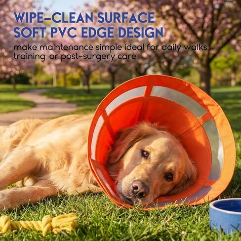 ASENKU Dog Cone Collar, Protective Recovery Dog Collar After Surgery, Comfy Adjustable Cone for Dogs to Stop Licking, Pet E-Collar for Small, Medium & Large Dogs(Orange, M) in Kuwait
