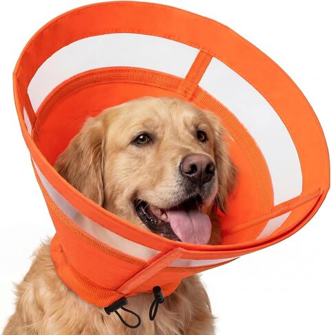 ASENKU Dog Cone Collar, Protective Recovery Dog Collar After Surgery, Comfy Adjustable Cone for Dogs to Stop Licking, Pet E-Collar for Small, Medium & Large Dogs(Orange, M) in Kuwait