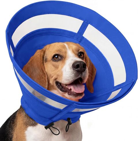 ASENKU Dog Cone Collar, Protective Recovery Dog Collar After Surgery, Comfy Adjustable Cone for Dogs to Stop Licking, Pet E-Collar for Small, Medium & Large Dogs(Orange, M) in Kuwait
