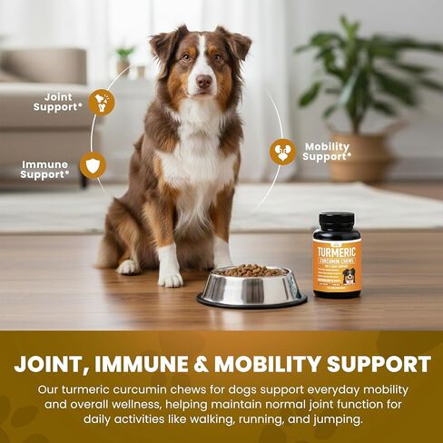 Turmeric for Dogs (155mg) Turmeric Curcumin Supplement for Dogs with BioPerine - Immune System Hip, Mobility & Joint Support - 120 Chicken Flavor Chewable Tablets - Third Party Tested & Non-GMO in Kuwait