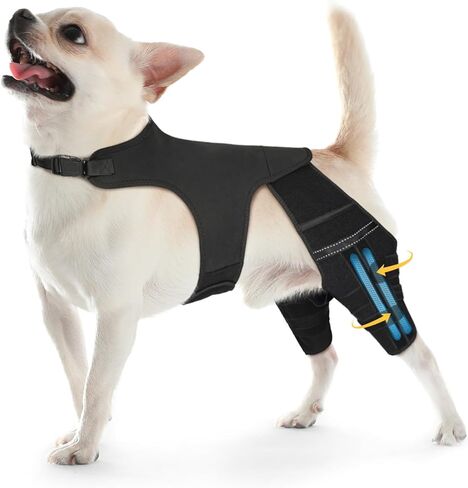 Dog Knee Brace for Torn Acl Hind Leg, 4 Stabilizers Dog Leg Braces for Back Leg, Adjustable Hip Support to Reduces Pain, Ligament Injuries, Luxating Patella in Kuwait