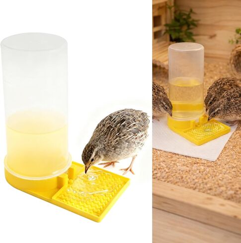 Ultra Leak-Proof Quail Chick Water Feeder – Premium Large Capacity, Non-Toxic & Durable, Ideal Button Quails Waterer, No-Spill Quail Coop & Poultry Supplies for Easy Hydration in Kuwait