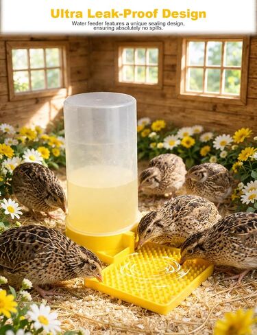 Ultra Leak-Proof Quail Chick Water Feeder – Premium Large Capacity, Non-Toxic & Durable, Ideal Button Quails Waterer, No-Spill Quail Coop & Poultry Supplies for Easy Hydration in Kuwait