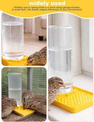 Ultra Leak-Proof Quail Chick Water Feeder – Premium Large Capacity, Non-Toxic & Durable, Ideal Button Quails Waterer, No-Spill Quail Coop & Poultry Supplies for Easy Hydration in Kuwait