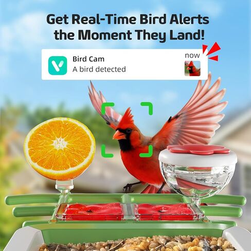 Bird Feeder with Camera, 2K HD Smart Birds Feeder with Solar Panel, AI Bird-Recognition, Instant Motion Alerts, Auto Capture BirdVideos, Outdoor Birdhouse Feeder Gift for Bird Lovers in Kuwait