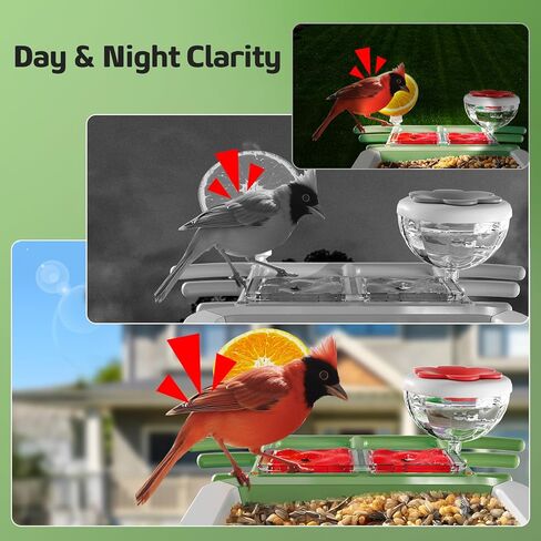 Bird Feeder with Camera, 2K HD Smart Birds Feeder with Solar Panel, AI Bird-Recognition, Instant Motion Alerts, Auto Capture BirdVideos, Outdoor Birdhouse Feeder Gift for Bird Lovers in Kuwait