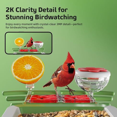 Bird Feeder with Camera, 2K HD Smart Birds Feeder with Solar Panel, AI Bird-Recognition, Instant Motion Alerts, Auto Capture BirdVideos, Outdoor Birdhouse Feeder Gift for Bird Lovers in Kuwait