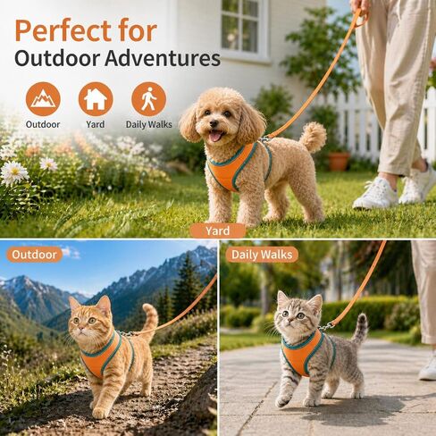 حزام ومقود للقطط مقاوم للهروب من مجموعة أطواق على شكل سترة Correa para Gatos للمشي والسفر خطوة صغيرة وهريرة في الهواء الطلق بالكامل البنغال أفضل فيلكرو للكبار دائمًا على الحيوانات الأليفة لا مفر منه 2026 in Kuwait