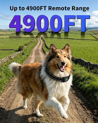 Shock Collar for Dogs, 4900FT Dog Training Collar with Remote, IP67 Waterproof Rechargeable E Collar for Dogs, 4 Training Modes, Voice Call, for Small Medium Large Dog(10-120Lbs) in Kuwait