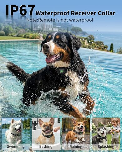 Shock Collar for Dogs, 4900FT Dog Training Collar with Remote, IP67 Waterproof Rechargeable E Collar for Dogs, 4 Training Modes, Voice Call, for Small Medium Large Dog(10-120Lbs) in Kuwait