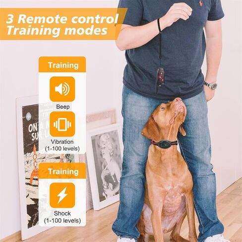 2 in 1 Dog Shock Collar - Bark Collar with Remote, w/3 Remote Training Modes, Beep, Vibration 1300Ft Dog Training Collar for for Small Medium Large Dogs (Red) in Kuwait