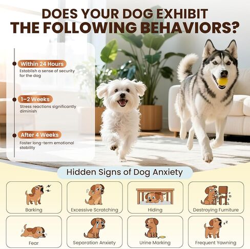 Dog Pheromones Calming Diffuser to Calm Dogs 11 IN 1 Kit (3 Diffusers+5 Refills+3 Collars) Pheromone Plug In for Stress Barking Pee Accidents Chewing Aggression Separation Anxiety Relief(Odorless) in Kuwait