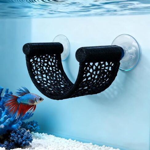 Betta Fish Hammock in Saudi Arabia