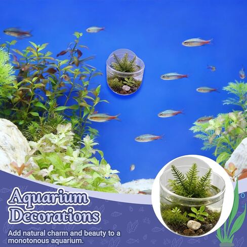 4 Pack Aquarium Plant Holder with Hole, Fish Tank Aquatic Plant Pot Cup with Large Suction Cup, Clear Acrylic Aquarium Planter for Fish Tank Aquascape Decorations in Kuwait