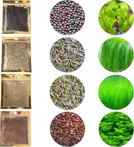 4 Bags Aquarium Plant S.e.e.ds, not Artificial Plastic Plant, Fish Tank Live Grass for All Substrate yjll4388ls in Kuwait