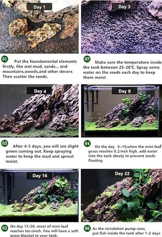 4 Bags Aquarium Plant S.e.e.ds, not Artificial Plastic Plant, Fish Tank Live Grass for All Substrate yjll4388ls in Kuwait