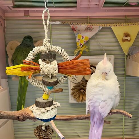 Parakeet Toys, Natural Hanging Bird Chewing & Foraging Toy with Corn Foliage and Seagrass, Beak-Safe Chewer for Conures, Cockatiels, Senegal Parrot and Small to Moderate-Sized Birds in Kuwait
