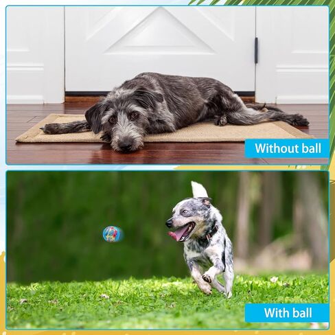 BINGPET Dog Pool Toy Floating Balls, 2 Pcs Dog Water Ball for Summer Swimming Bouncing Ball Pool Toys, Interactive Soft Dog Chew Balls for Small and Medium Dogs in Saudi Arabia