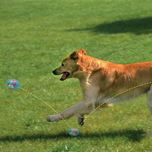 BINGPET Dog Pool Toy Floating Balls, 2 Pcs Dog Water Ball for Summer Swimming Bouncing Ball Pool Toys, Interactive Soft Dog Chew Balls for Small and Medium Dogs in Saudi Arabia