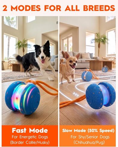 Xeuch Interactive Dog Toys, Automatic Irregular Moving and Rolling Dog Ball with 2 Speed Modes, E-TPU Material, Motion Activated Pet Toys with Rope for Dogs Puppies, LED Light Up Dog Stimulation Toy in Kuwait