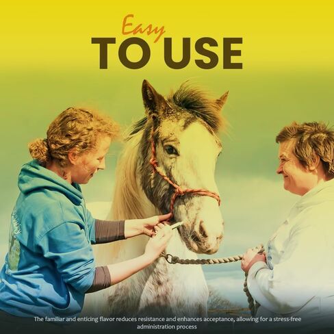 Ivermectin Horse Paste 1.87% Apple Flavored - 6.08g Paste of Horses - Treats Up to 1250 LB - Ivermectin Paste for Horse Dewormer (Pack of 2) in Kuwait