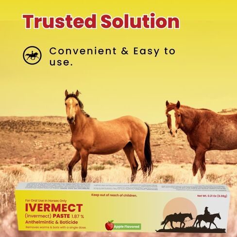 Ivermectin Horse Paste 1.87% Apple Flavored - 6.08g Paste of Horses - Treats Up to 1250 LB - Ivermectin Paste for Horse Dewormer (Pack of 2) in Kuwait