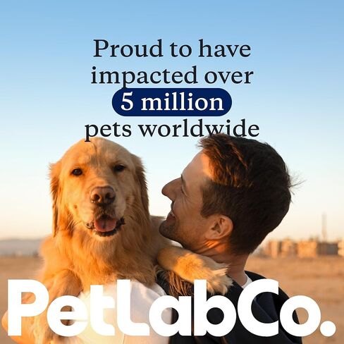PetLab Co. ألياف اليقطين للكلاب - مسحوق البروبيوتيك للكلاب - مكمل عالي الألياف مع التفاح والسيليوم والفطر - يدعم الهضم وصحة الأمعاء وحركات الأمعاء المنتظمة - 30 مغرفة in Kuwait