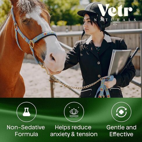 جل VetrChill المهدئ للخيول - مكمل فموي بنكهة التفاح مع الثيانين والميلاتونين - يدعم الاسترخاء والتركيز - أنبوب واحد - تم تركيبه بواسطة طبيب بيطري في الولايات المتحدة الأمريكية in Kuwait