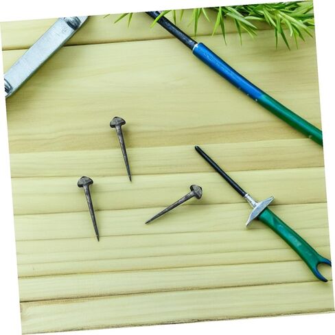 Toddmomy 50 Pieces Portable Iron Horseshoe Nails Replaceable Small Hoof Nails Horseshoe Accessory for Equine Hoof Care Farrier Supplies in Kuwait