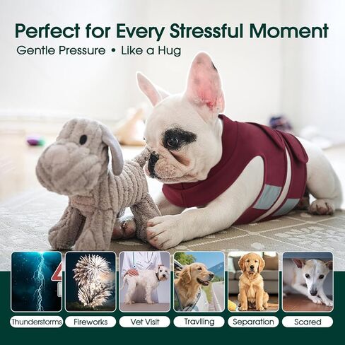 Kuoser Calming Vest for Dogs Anxiety, Adjustable Anxiety Wrap Jacket for Small Medium Large Dogs, Soothing Compression Shirt for Fireworks Thunderstorms Separation Anxiety Travel, XL in Kuwait