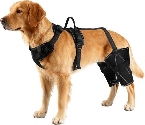 Vivifying Dog Hip & Leg Support Harness for Mobility Assistance, Adjustable Rear Leg Brace with Lift Handle for Injured or Senior Dogs, Joint Stabilizing Hind Leg Support for Walking, Recovery (L) in Kuwait