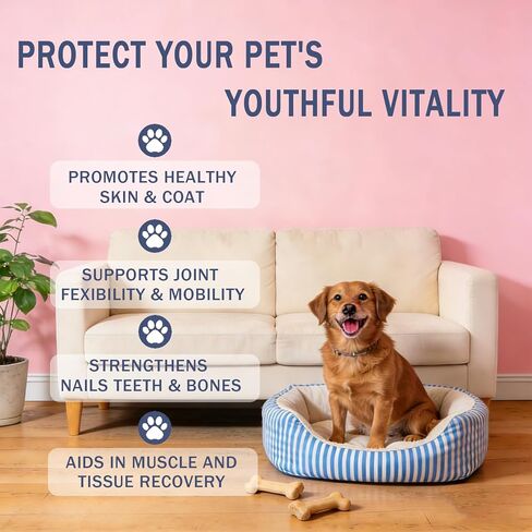 Bloom Collagen for Dogs, Liquid Support for Skin, Coat, Hips & Joints, Liquid Collagen for Dogs with Hyaluronic Acid, 2 Fl.oz in Kuwait