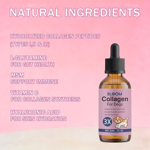 Bloom Collagen for Dogs, Liquid Support for Skin, Coat, Hips & Joints, Liquid Collagen for Dogs with Hyaluronic Acid, 2 Fl.oz in Kuwait