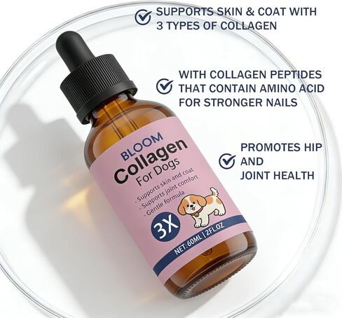 Bloom Collagen for Dogs, Liquid Support for Skin, Coat, Hips & Joints, Liquid Collagen for Dogs with Hyaluronic Acid, 2 Fl.oz in Kuwait