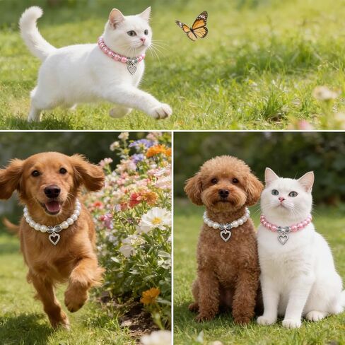 Nogeqi 2 Pcs Pearl Cat Collar, Cute Cat Collar with Small Heart Shape Rhinestone, Pearl Dog Collar, Kitten Collar,Pet Jewelry Accessories for Puppy Small Cats(White, Rose Red) in Kuwait
