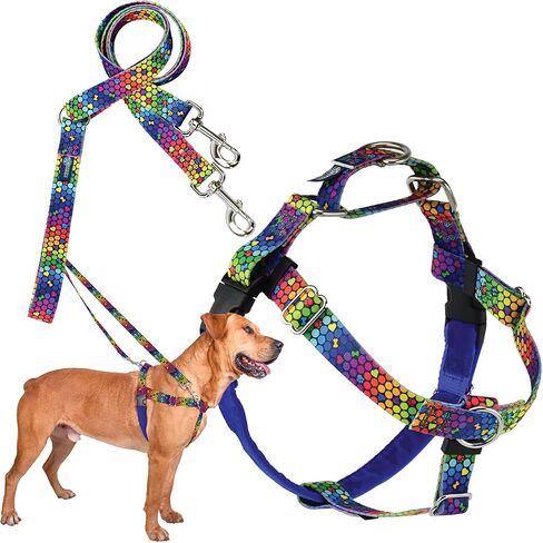 2 Hounds Design - Freedom No-Pull Harness & Training Leash in Blue and Rainbow | Dual Leash Loops, No Pulling on Walks | Lined to Prevent Chaffing | for Large Sized Dogs (Size M, Chest 24"- 28") in Kuwait