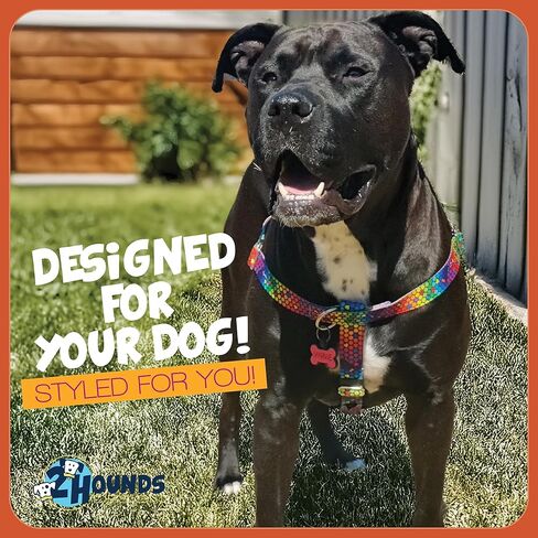 2 Hounds Design - Freedom No-Pull Harness & Training Leash in Blue and Rainbow | Dual Leash Loops, No Pulling on Walks | Lined to Prevent Chaffing | for Large Sized Dogs (Size M, Chest 24"- 28") in Kuwait